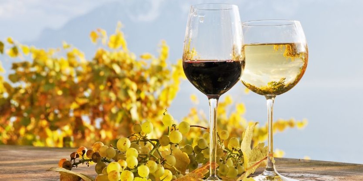 glasses of cozy autumn wines