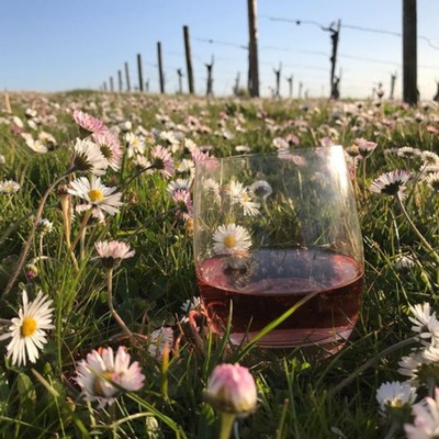 Glass of wine in a field of flowers.