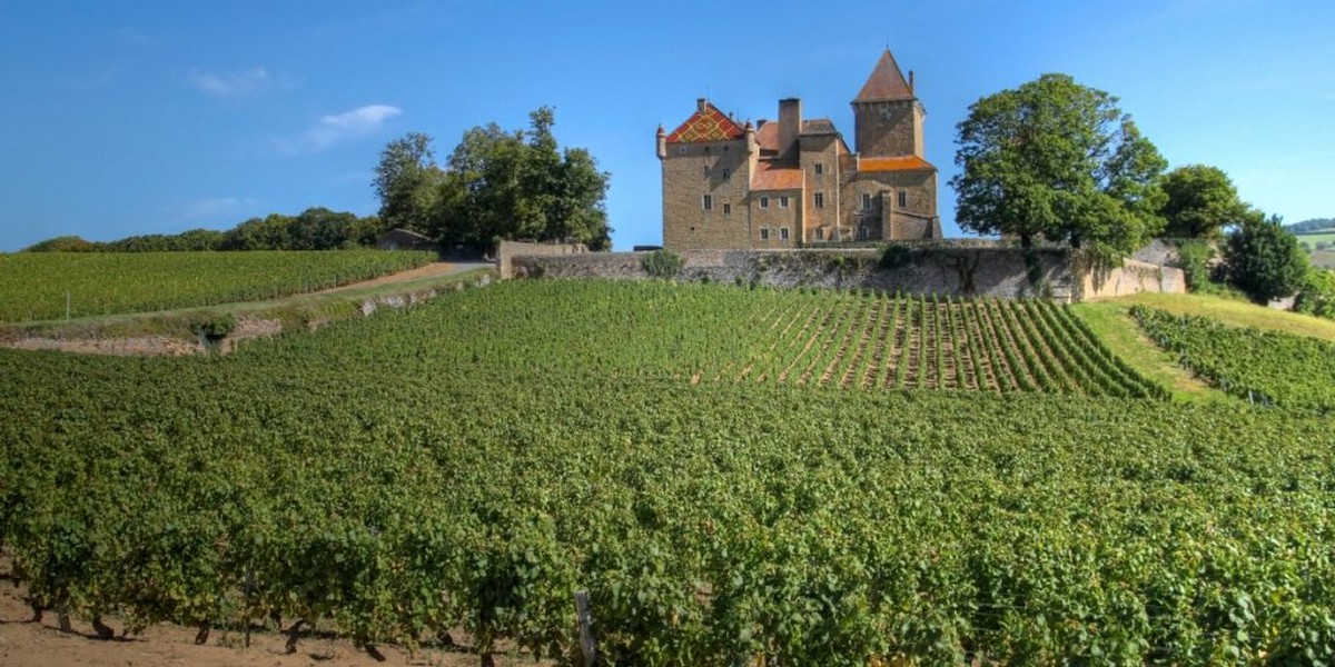 oregon pinot noir willamette valley wines