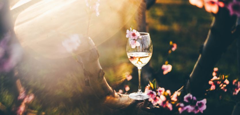 the best spring wine activities